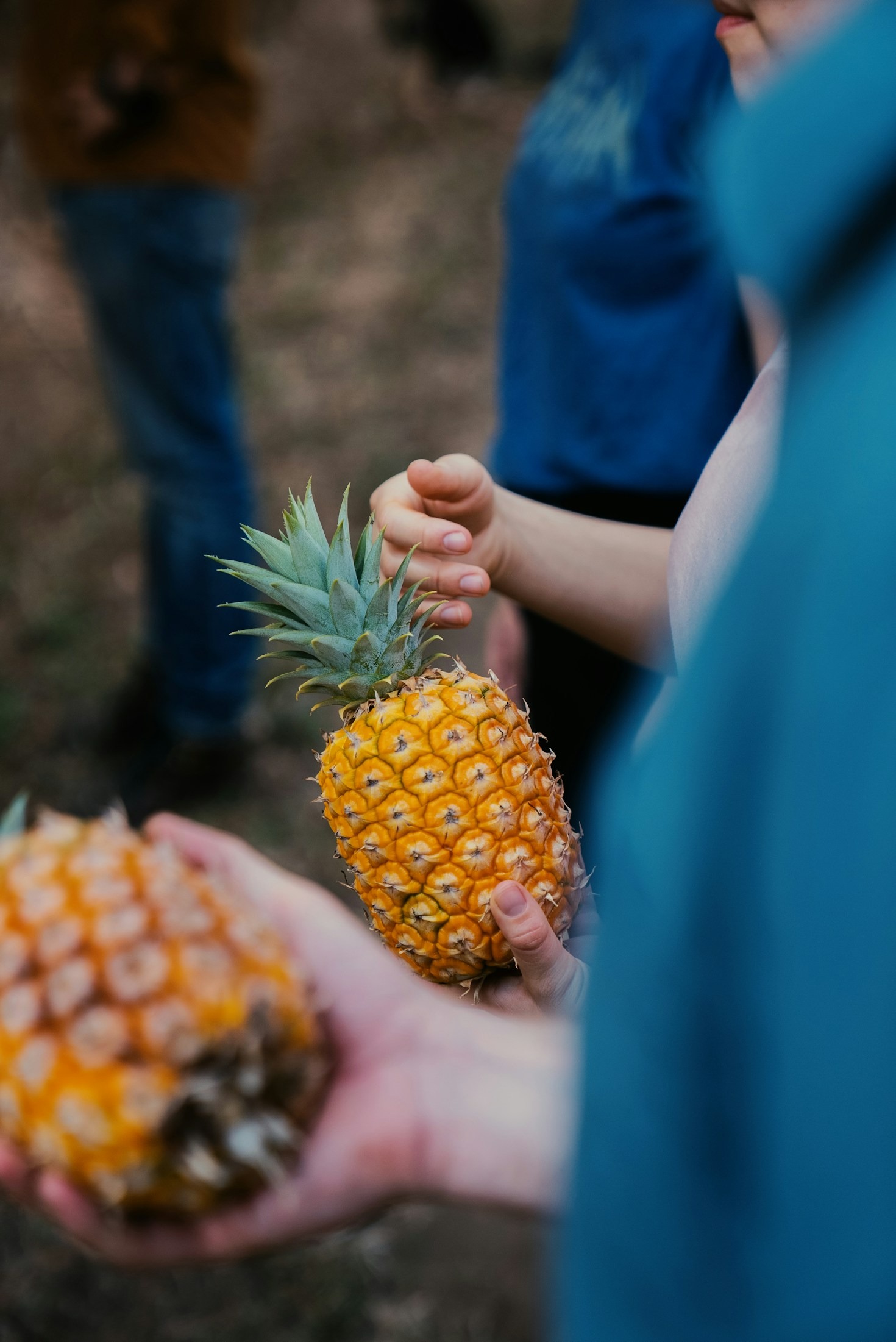 Why Sustainable Farming Matters For Pineapples